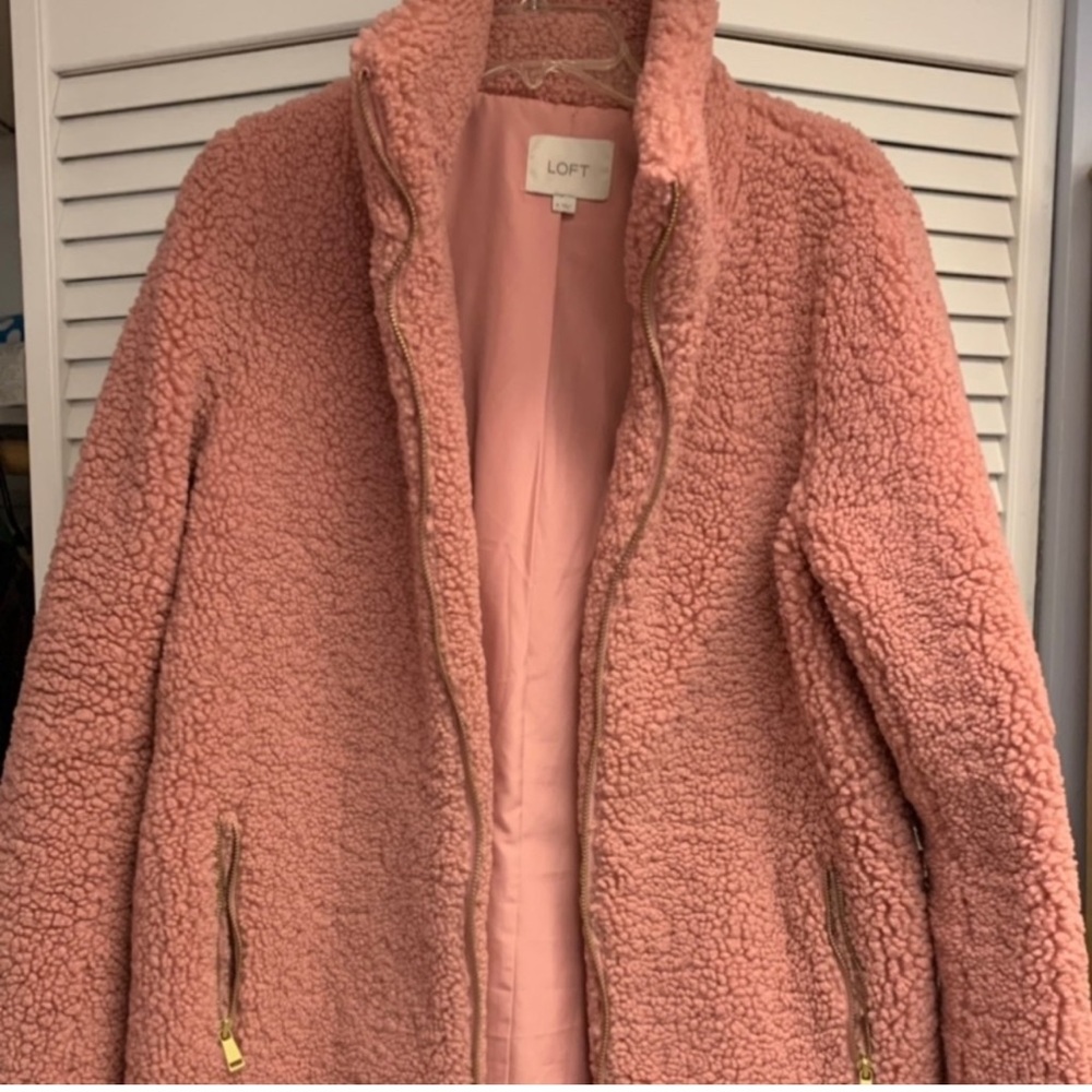 LOFT teddy/Sherpa coat